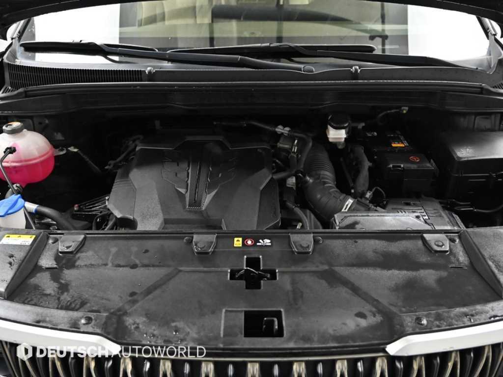 KIA Carnival - Vista 6