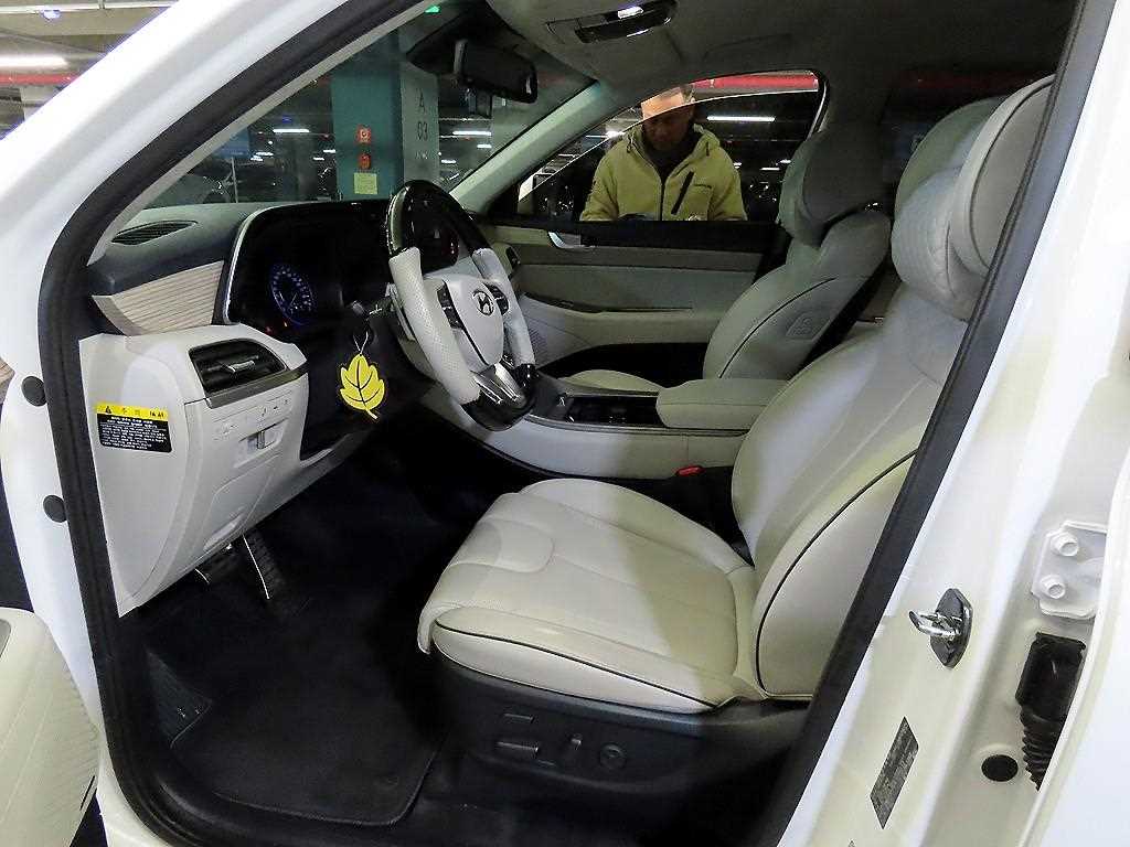 HYUNDAI Palisade - Vista 6