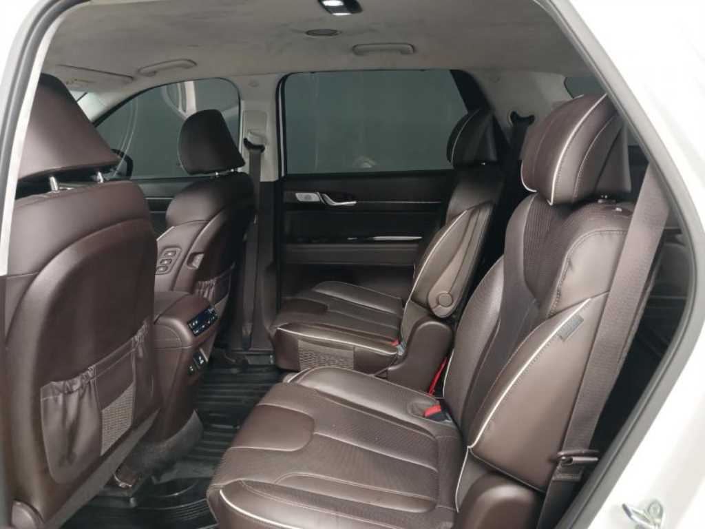 HYUNDAI Palisade - Vista 8