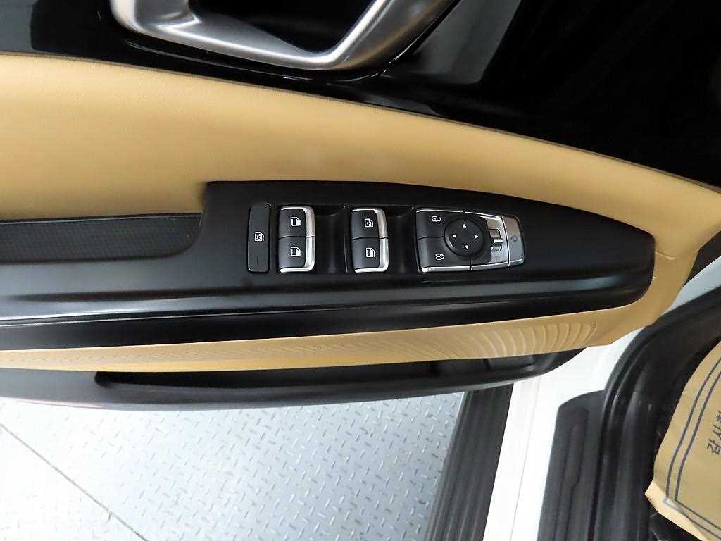 KIA Carnival - Vista 11