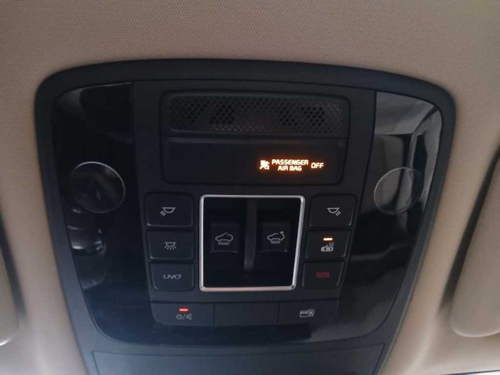 KIA Carnival - Vista 12