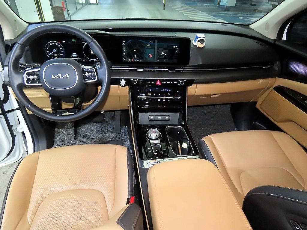 KIA Carnival - Vista 10