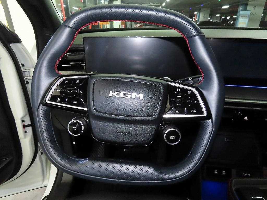 Ssangyong Action - Vista 8