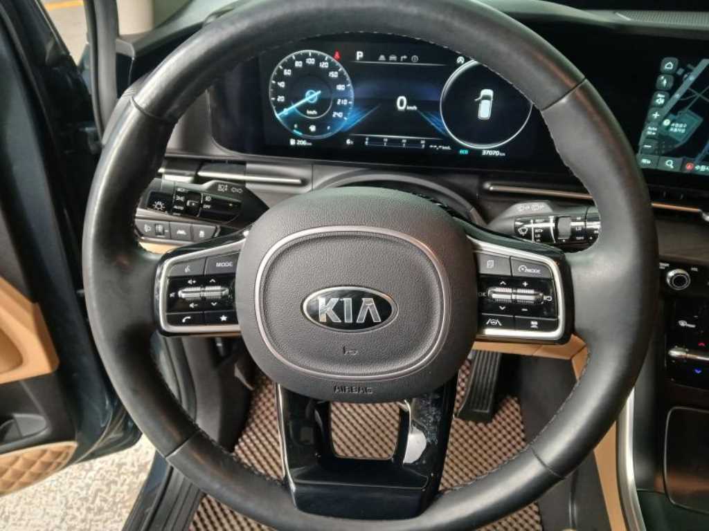 KIA Carnival - Vista 8