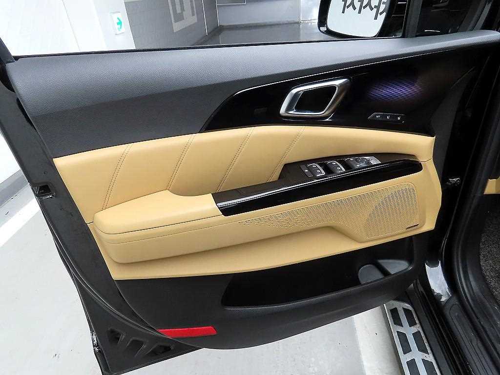 KIA Carnival - Vista 11