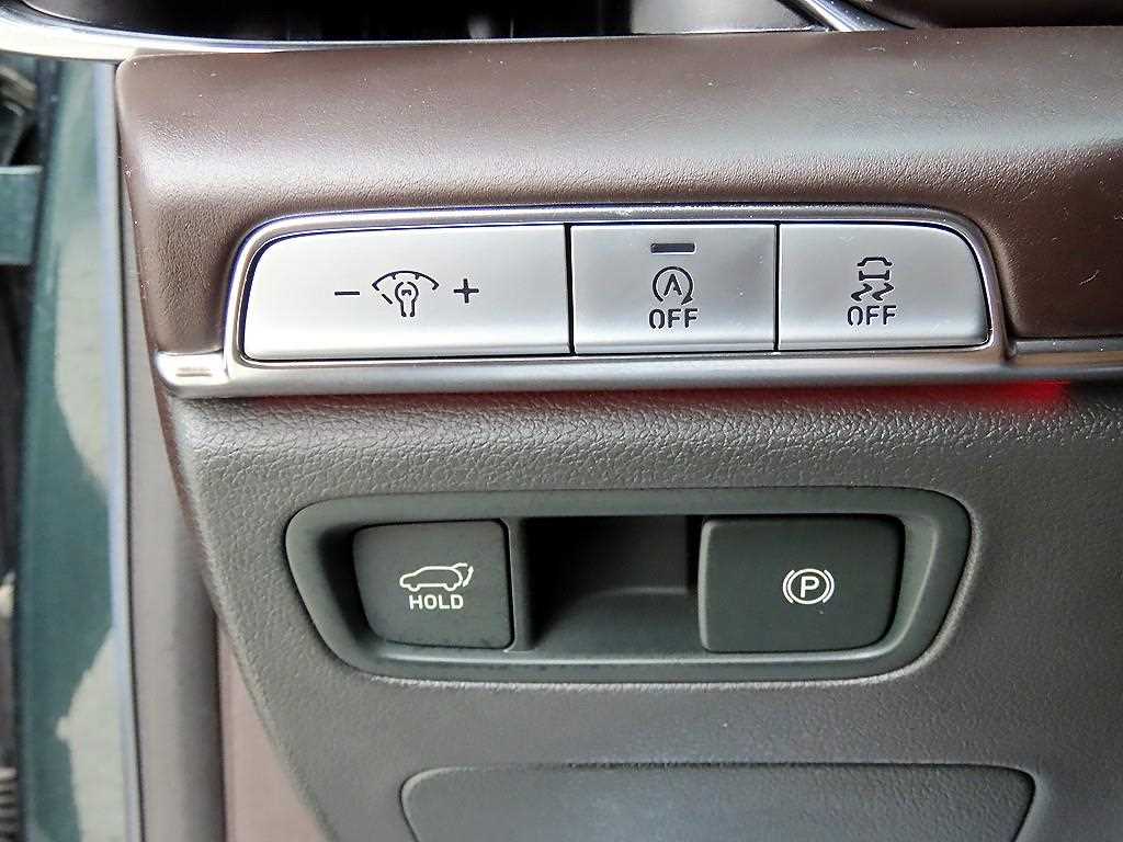 Genesis GV80 - Vista 12