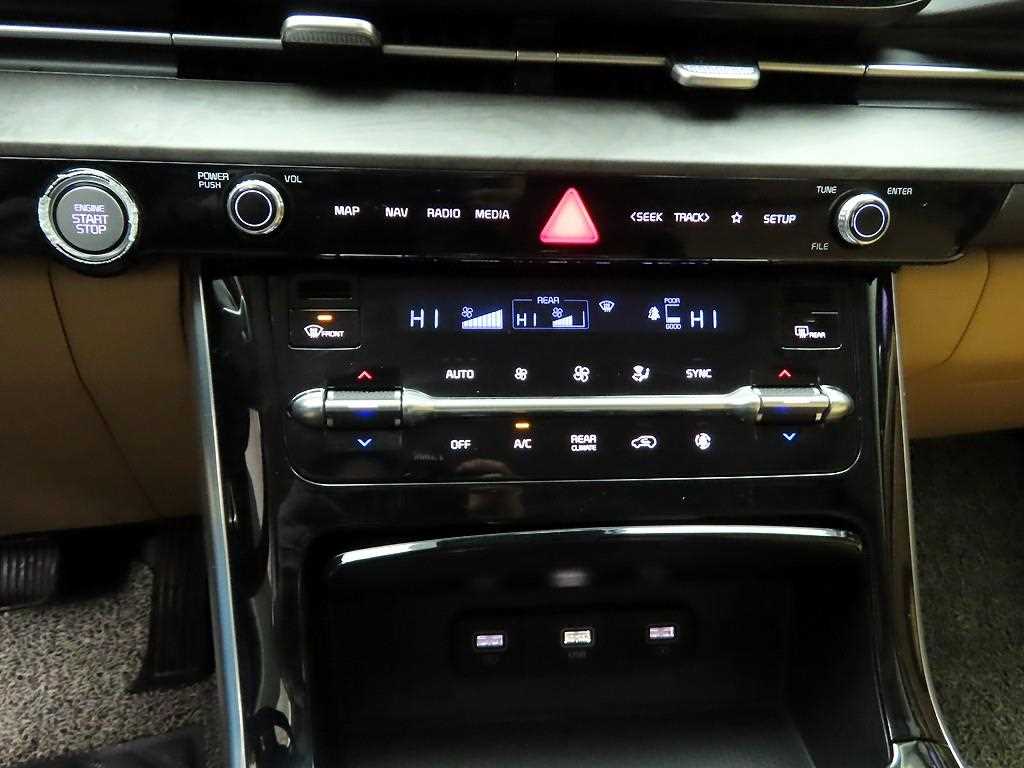 KIA Carnival - Vista 9