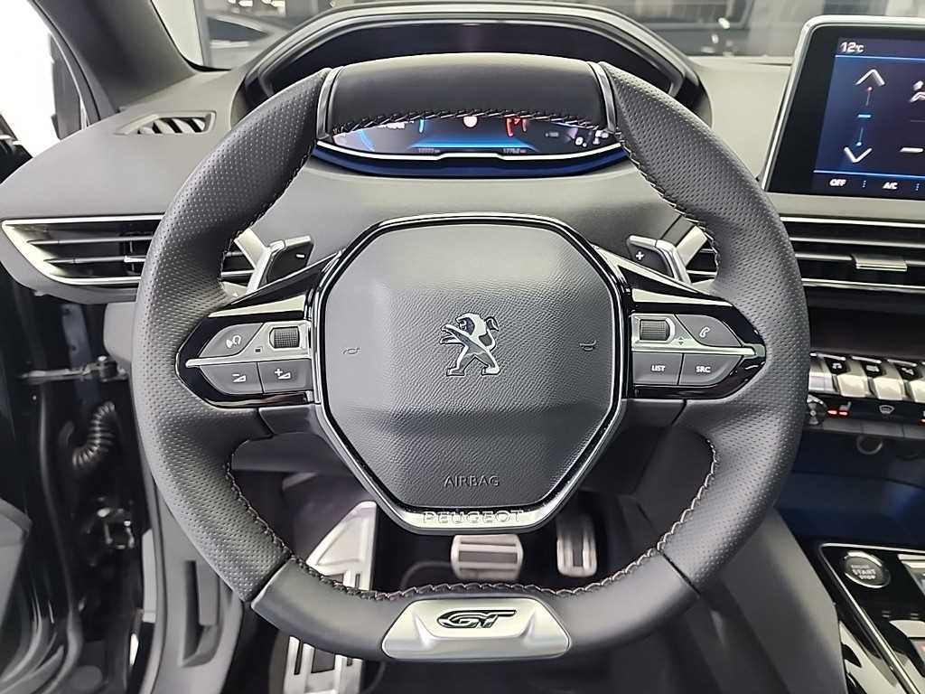 Peugeot 3008 - Vista 9