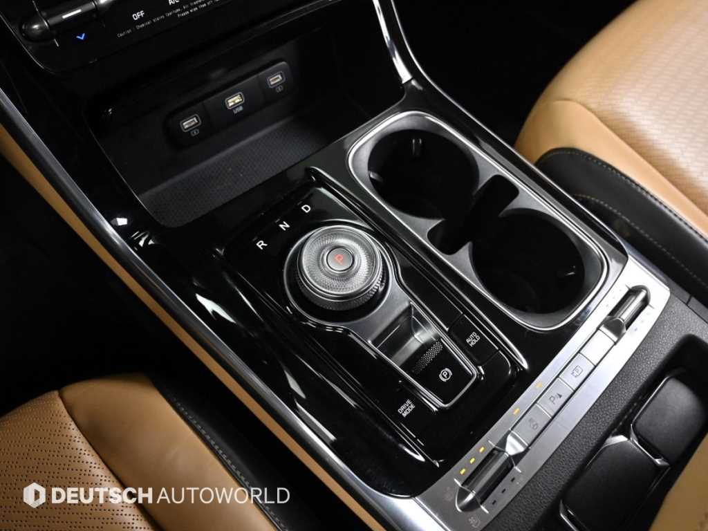 KIA Carnival - Vista 9