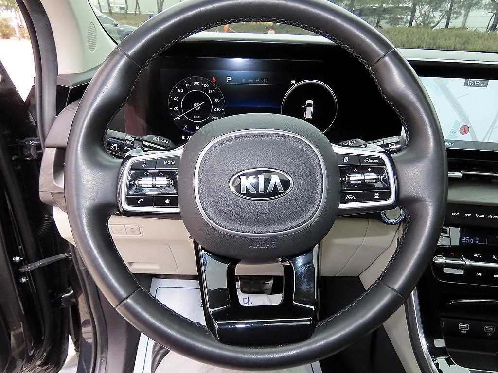 KIA Carnival - Vista 9