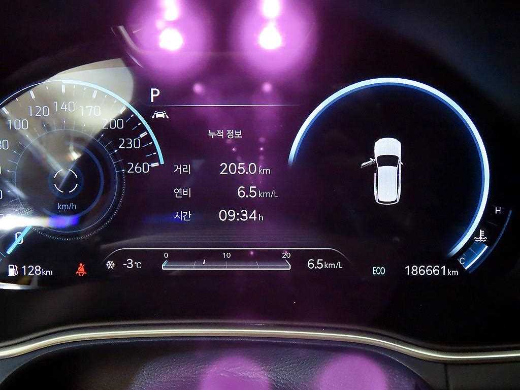 Genesis G80 - Vista 9