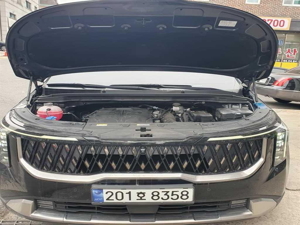 KIA Carnival - Vista 8