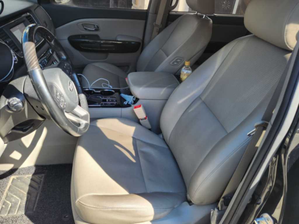 KIA Carnival - Vista 6