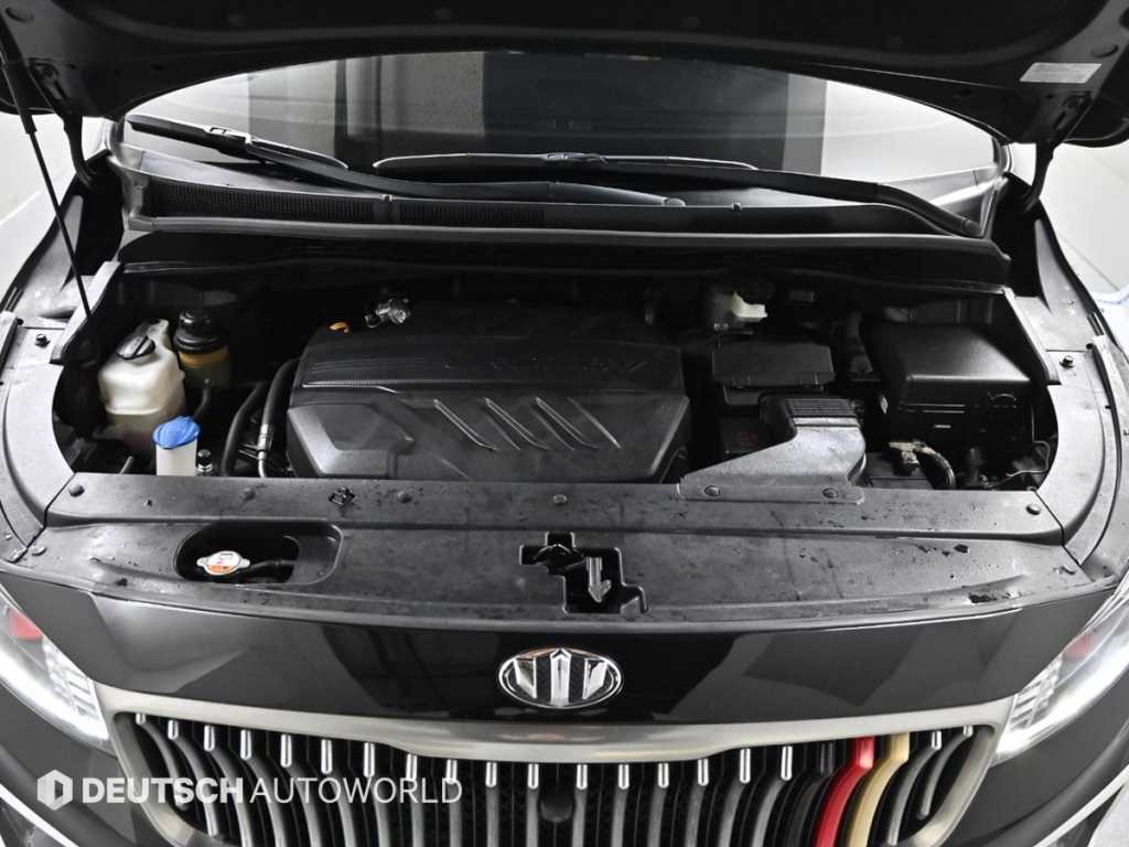 KIA Carnival - Vista 6