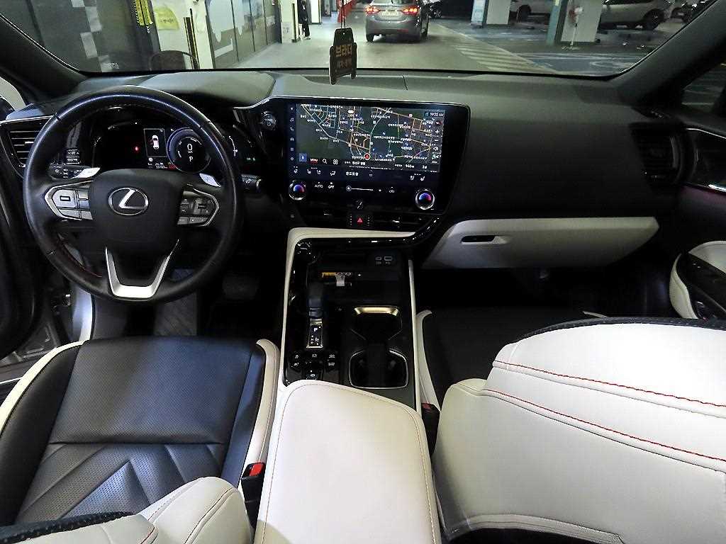 Lexus NX - Vista 10