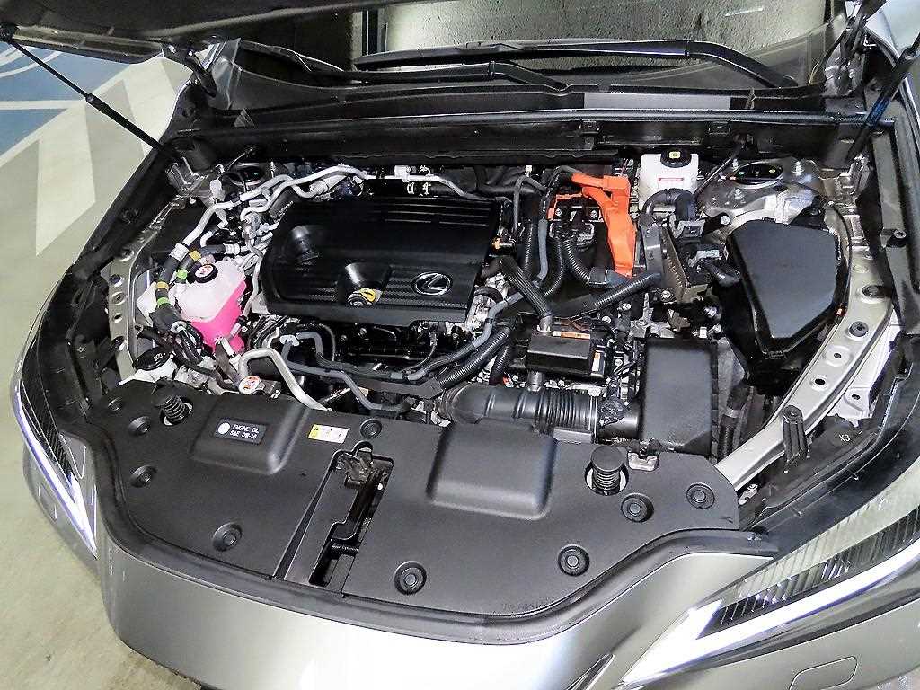 Lexus NX 2024 Gris - Importación desde Corea - HF Imports Iquique - Foto 19