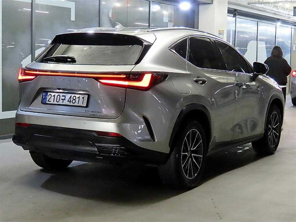 Lexus NX - Vista 4