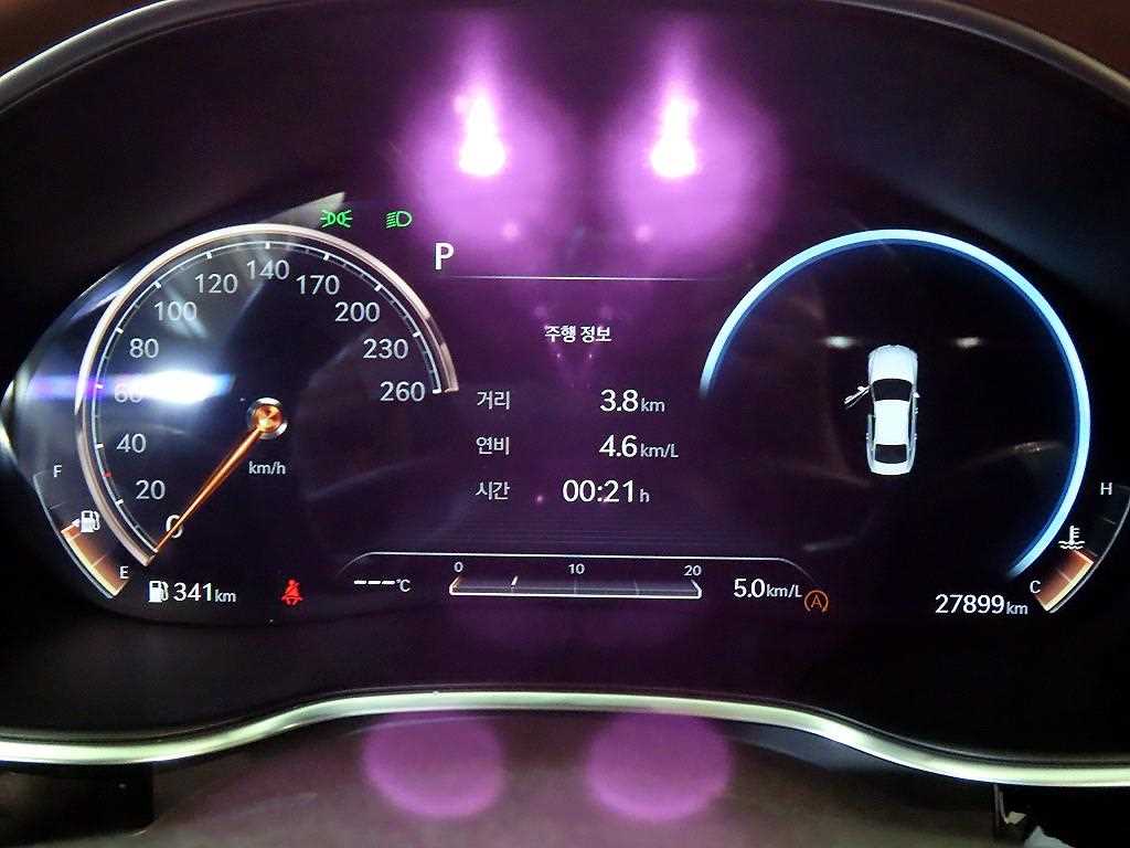 Genesis G80 - Vista 9