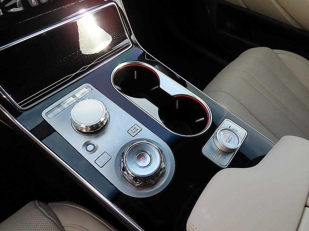 Genesis GV80 - Vista 10