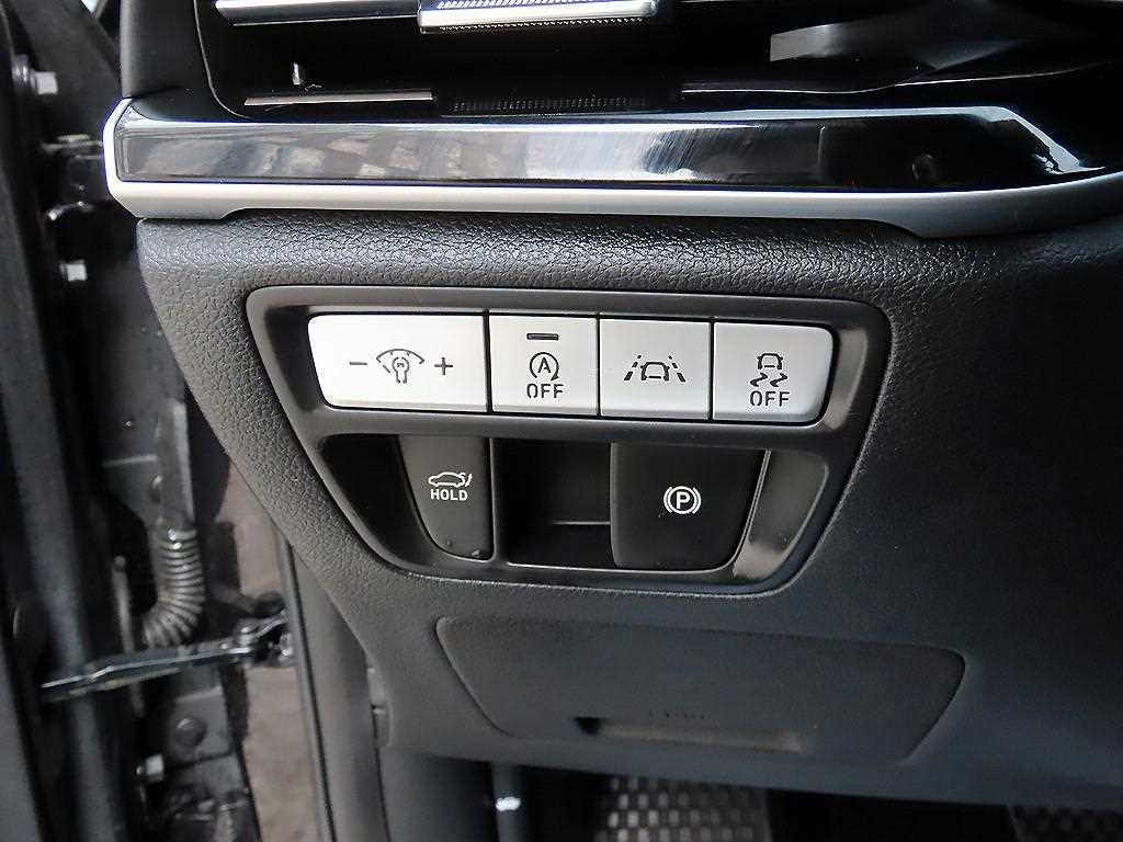 Genesis G80 - Vista 12