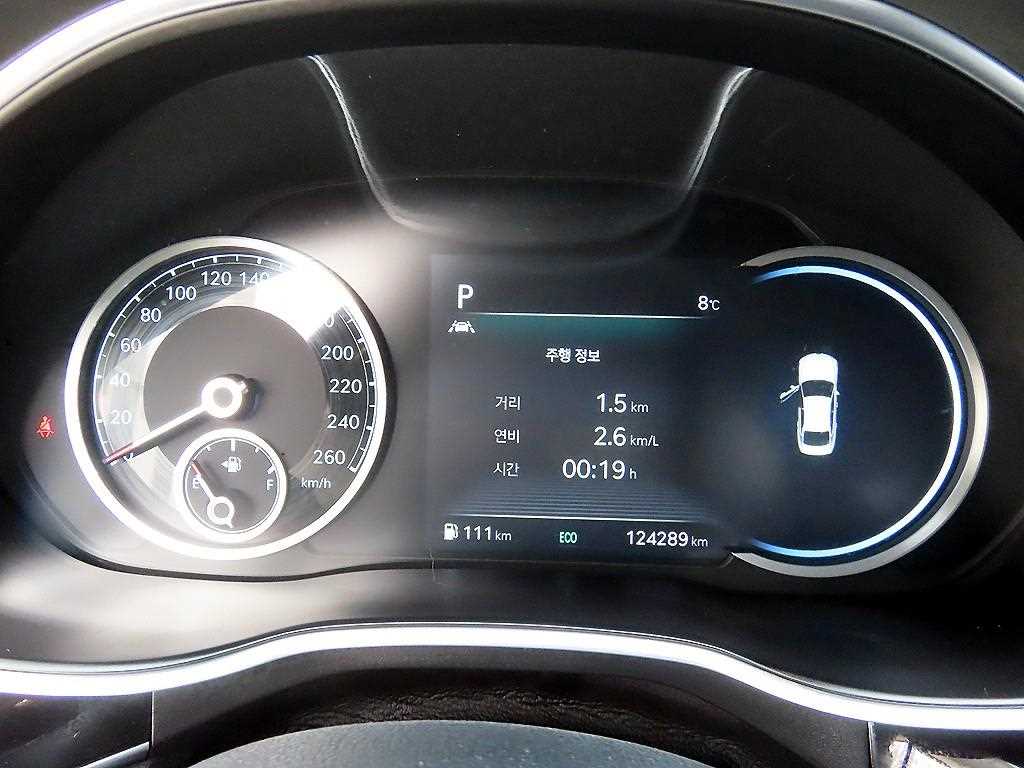 Genesis G80 - Vista 9