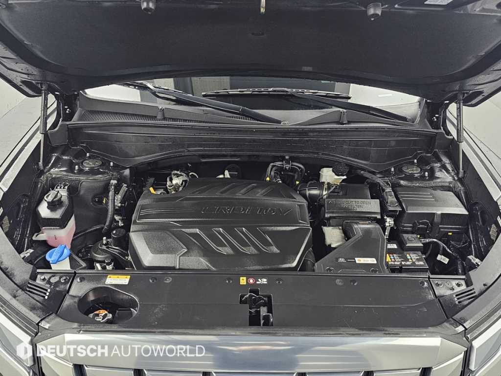 HYUNDAI Palisade - Vista 6