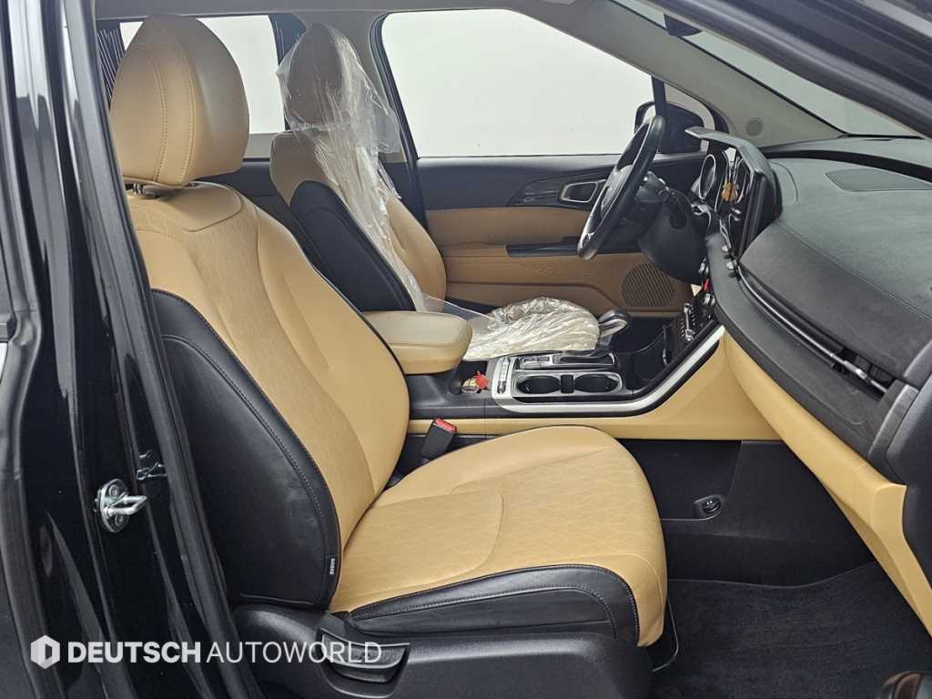 KIA Carnival - Vista 10