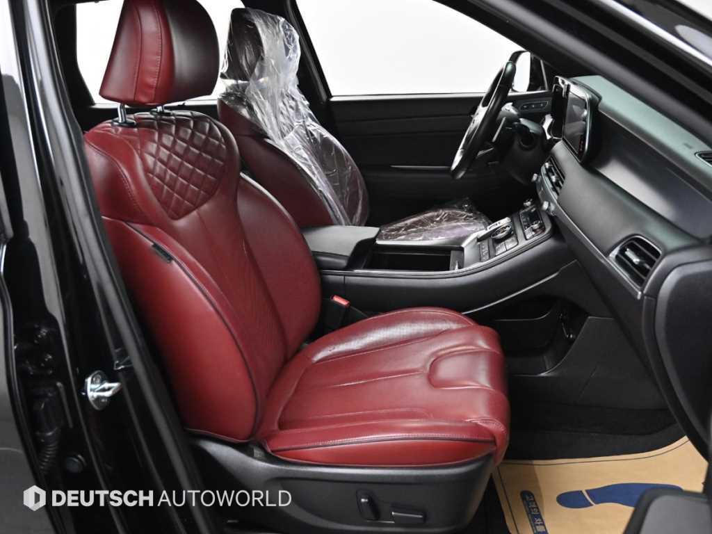 HYUNDAI Palisade - Vista 10