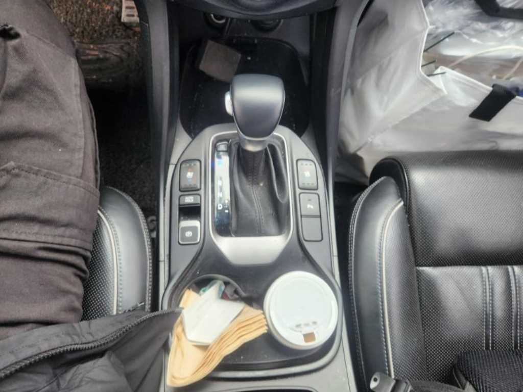 HYUNDAI Maxcruz - Vista 11