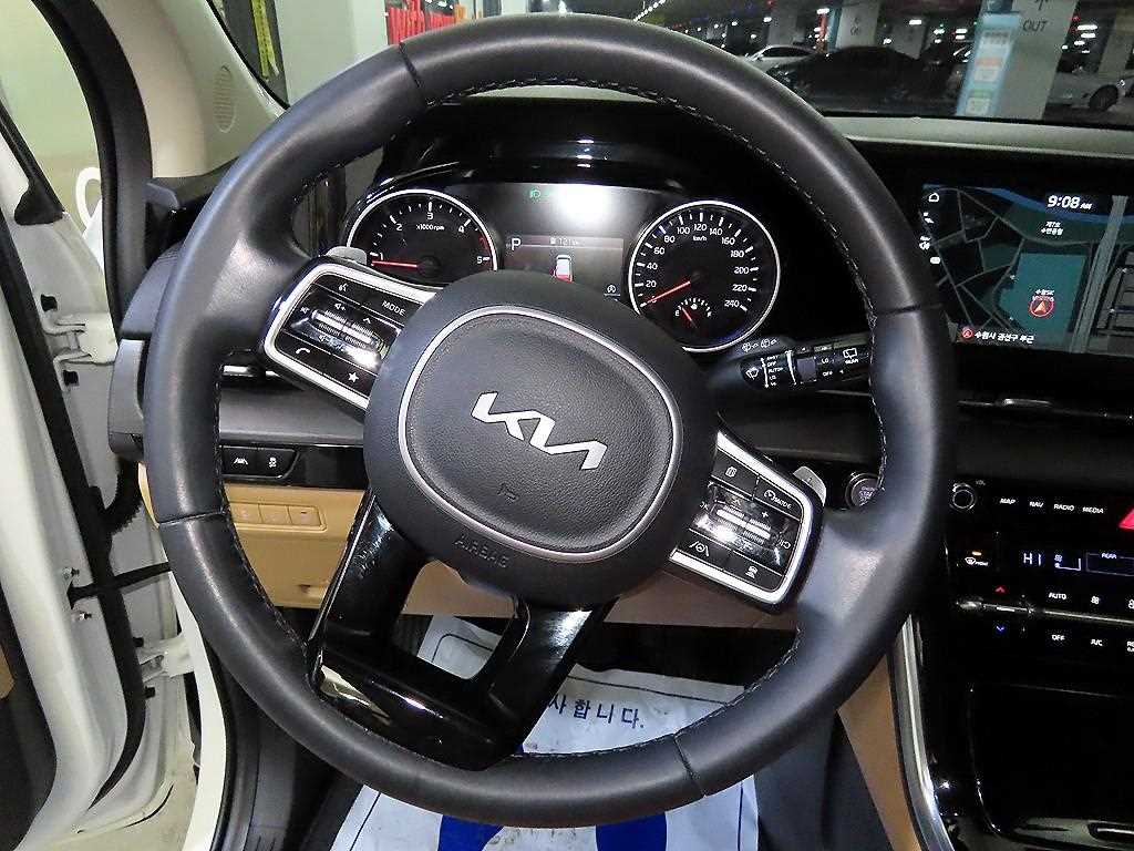 KIA Carnival - Vista 8