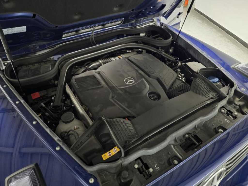 Mercedes Benz G Class (G Wagen) - Vista 9