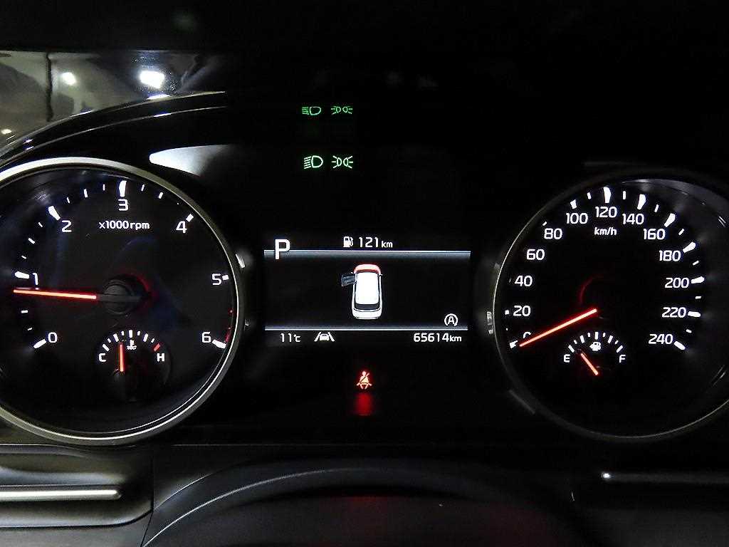 KIA Carnival - Vista 9