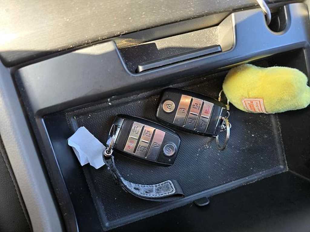 KIA Carnival 2018 Negro - Importación desde Corea - HF Imports Iquique - Foto 15