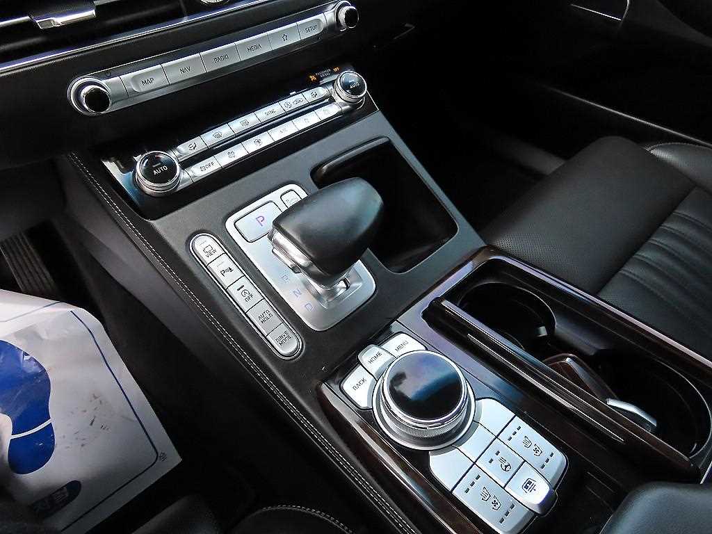 Genesis G90 - Vista 11