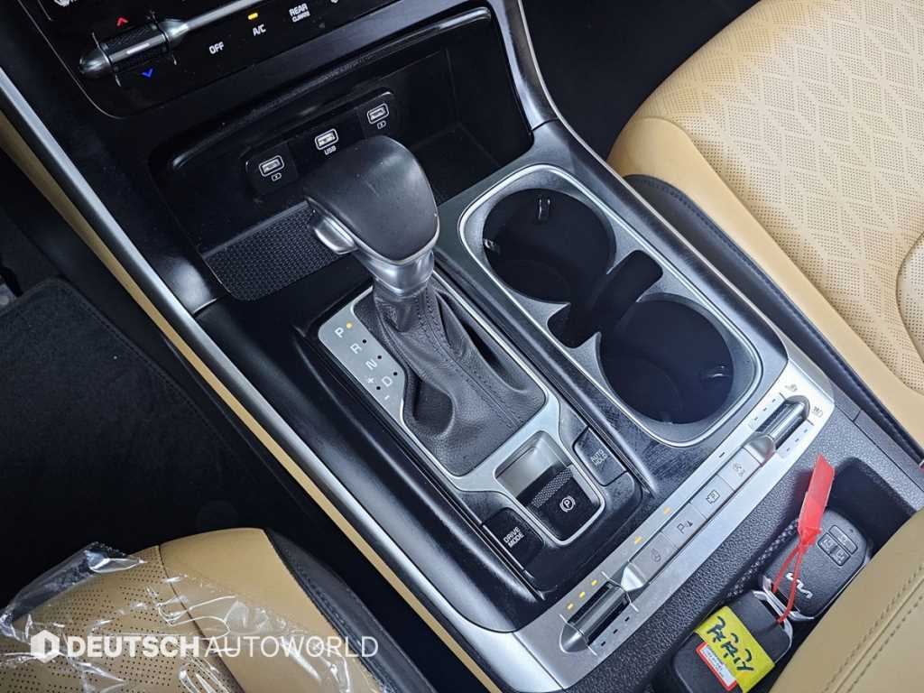 KIA Carnival - Vista 9