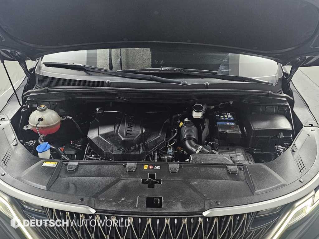 KIA Carnival - Vista 6