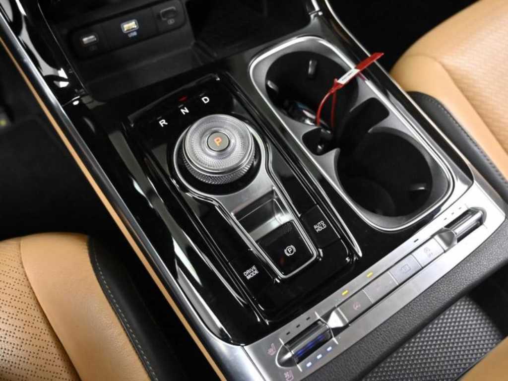 KIA Carnival - Vista 12