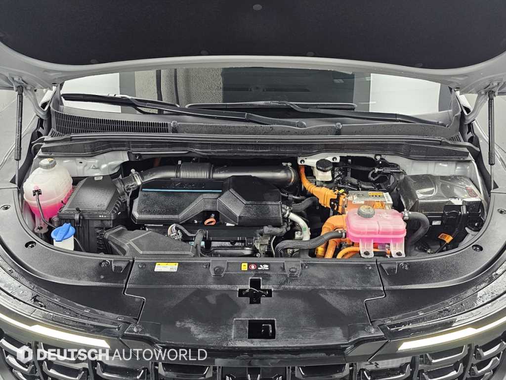 KIA Carnival - Vista 6