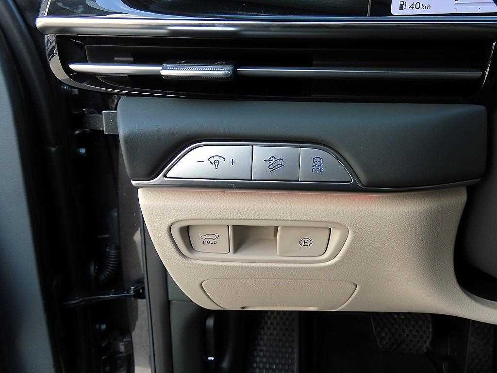 Genesis GV80 - Vista 12