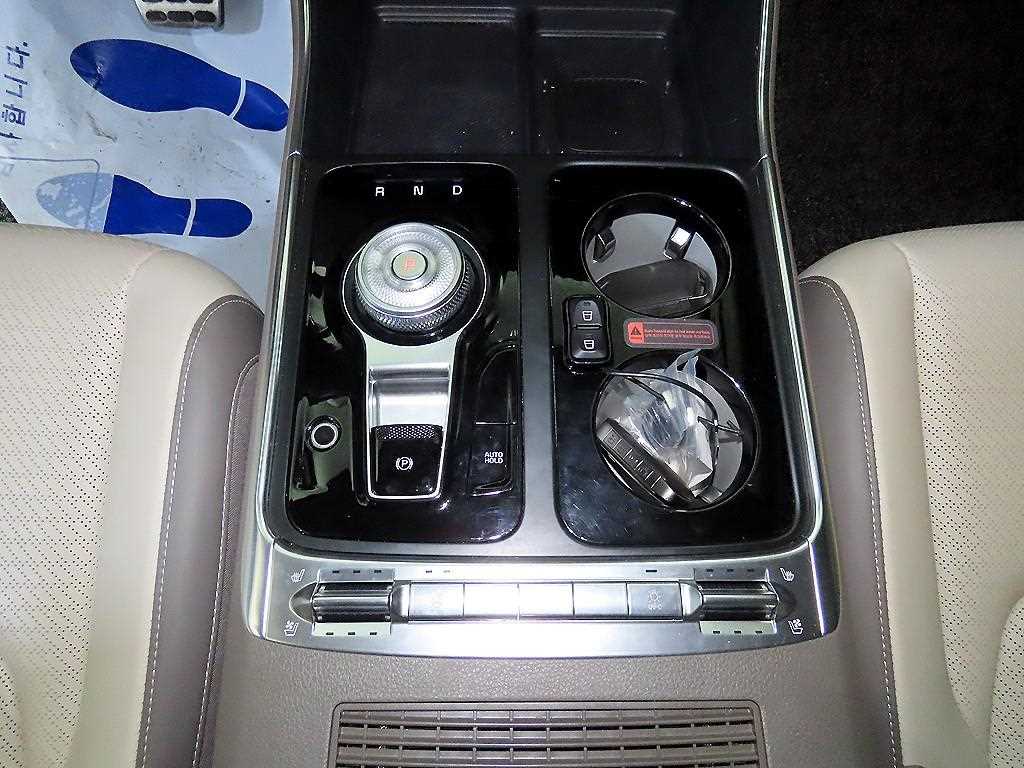 KIA Carnival - Vista 12