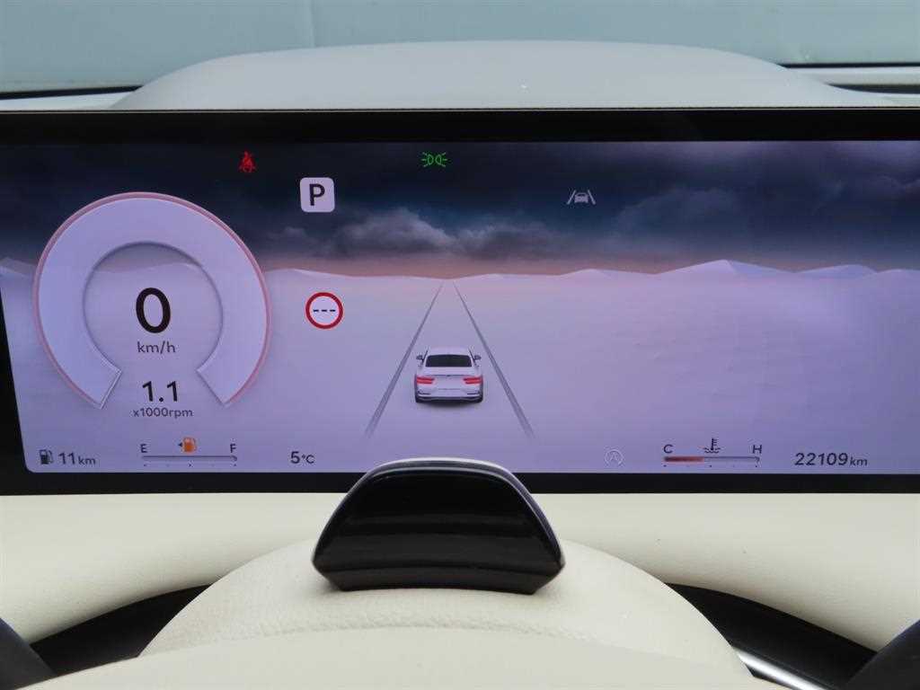 Genesis G80 - Vista 10