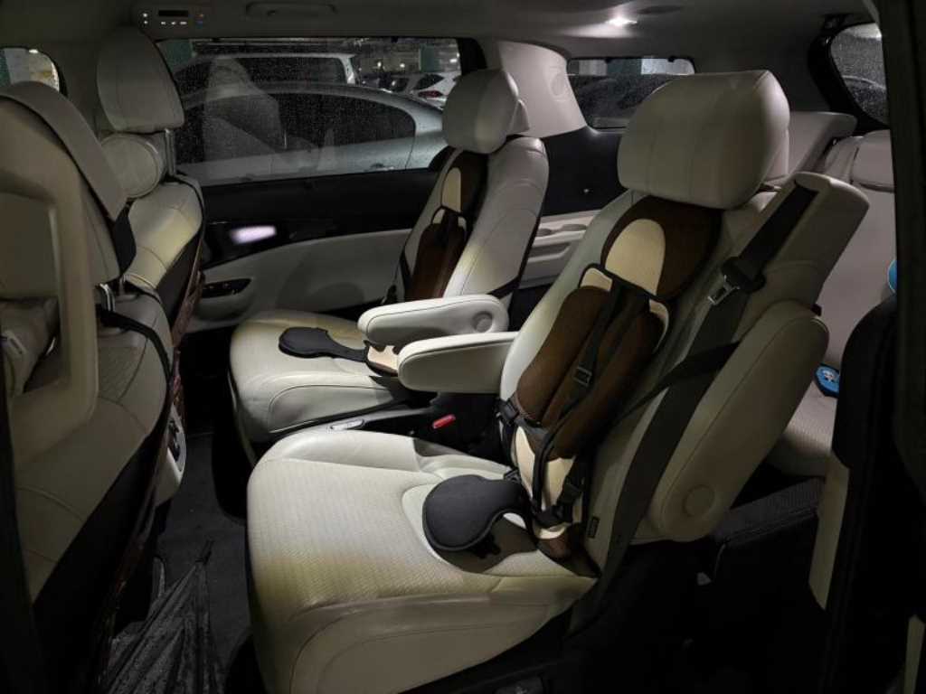 KIA Carnival - Vista 10