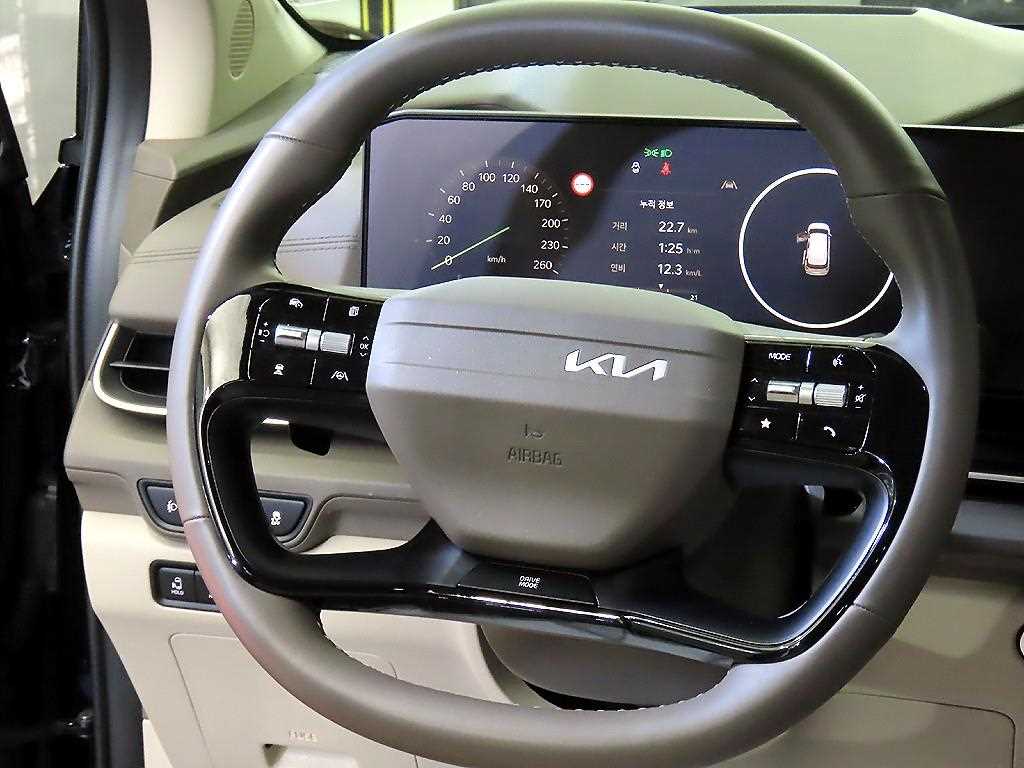 KIA Carnival - Vista 8