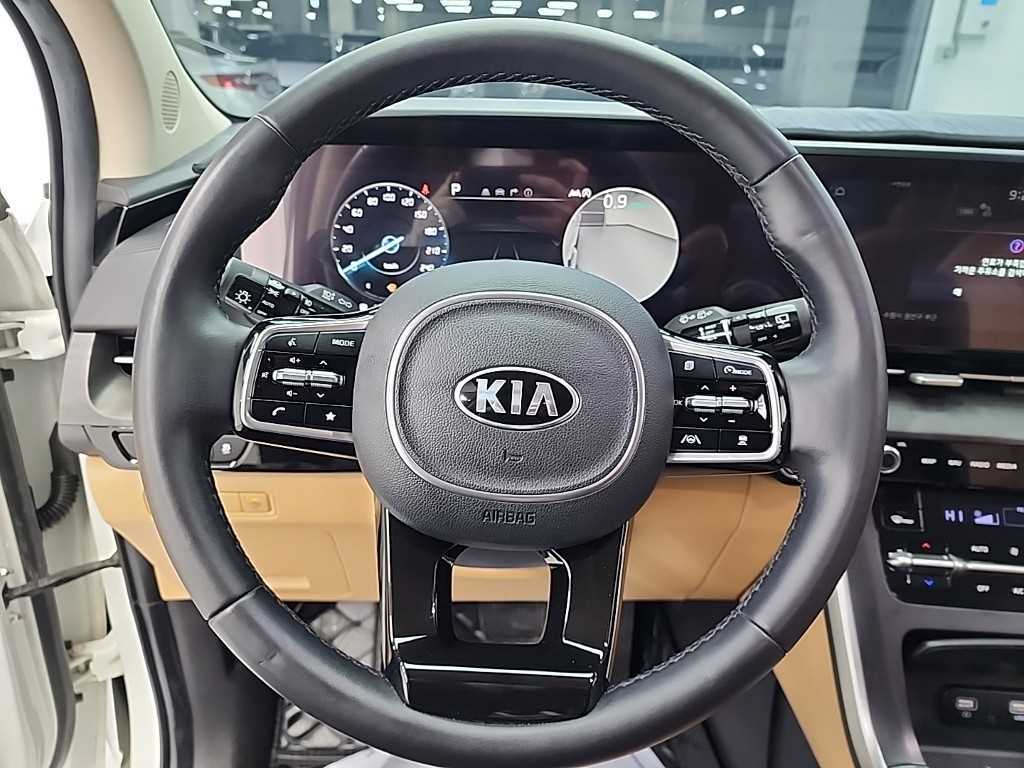 KIA Carnival - Vista 9