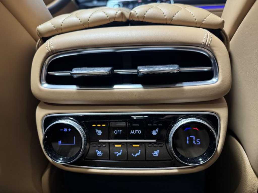 Genesis GV80 - Vista 10