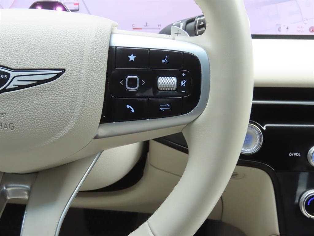 Genesis G80 - Vista 12
