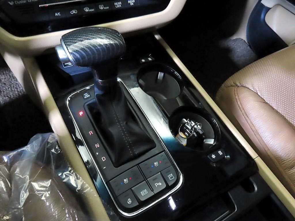 KIA Carnival - Vista 12