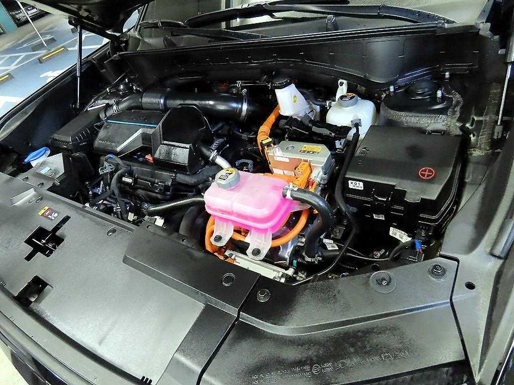 HYUNDAI Santa Fe 2024 Negro - Importación desde Corea - HF Imports Iquique - Foto 19