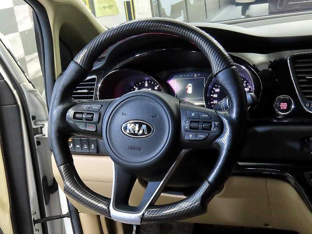 KIA Carnival - Vista 8