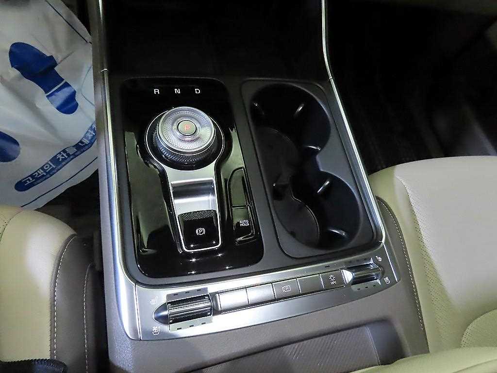 KIA Carnival - Vista 12